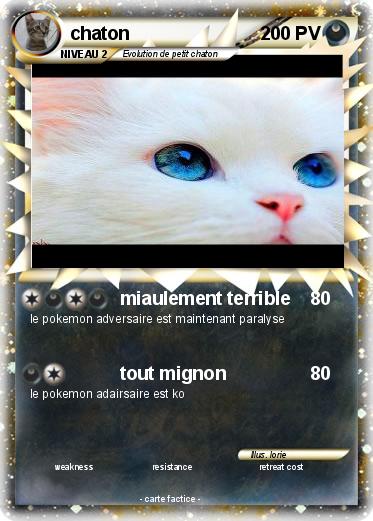 Pokemon chaton