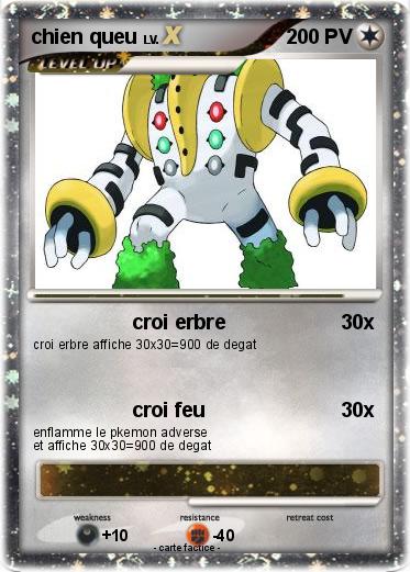 Pokemon chien queu