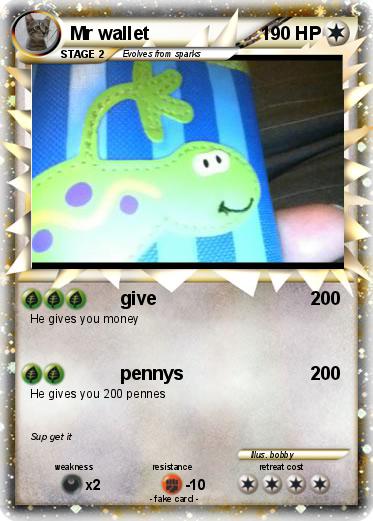 Pokemon Mr wallet