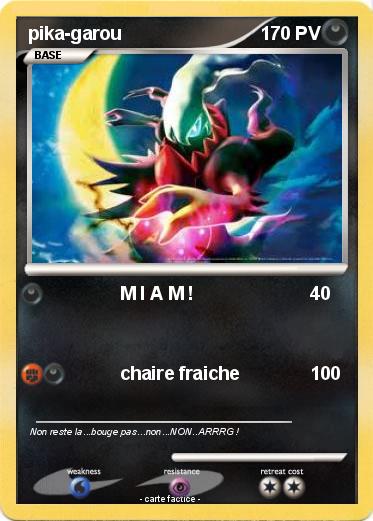 Pokemon pika-garou