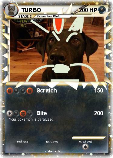 Pokemon TURBO
