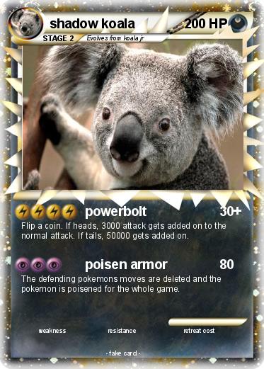 Pokemon shadow koala