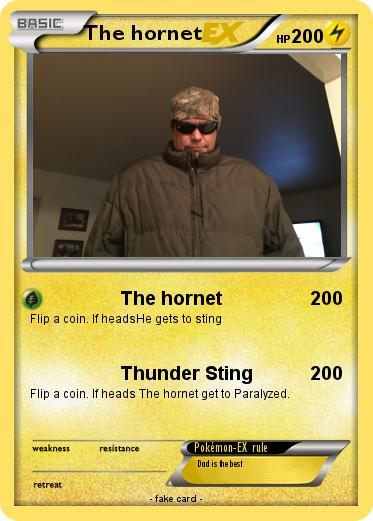 Pokemon The hornet