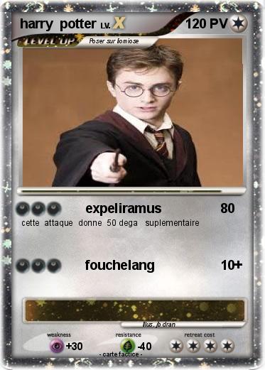 Pokemon harry  potter