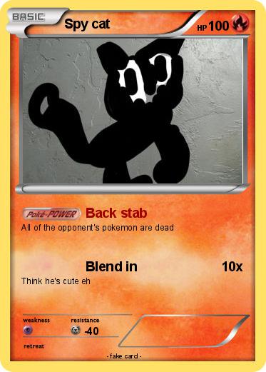 Pokemon Spy cat