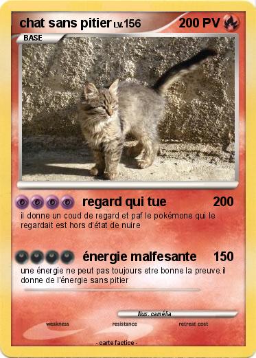 Pokemon chat sans pitier