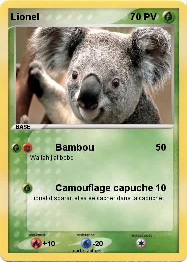 Pokemon Lionel