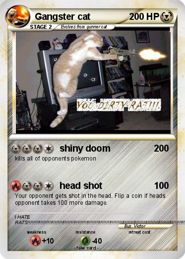 Pokemon Gangster cat