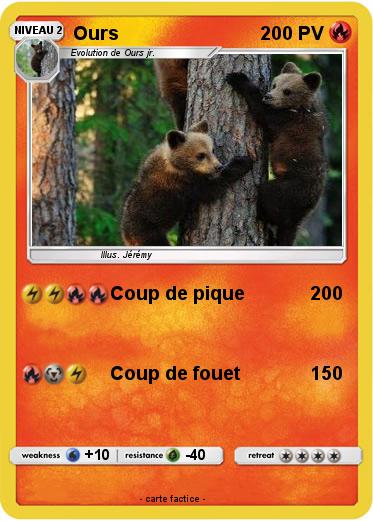 Pokemon Ours