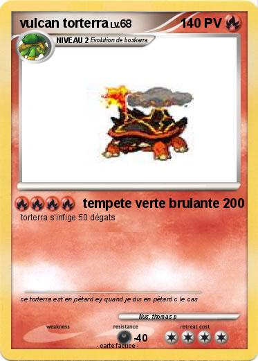 Pokemon vulcan torterra