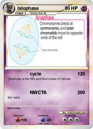Pokemon telophase