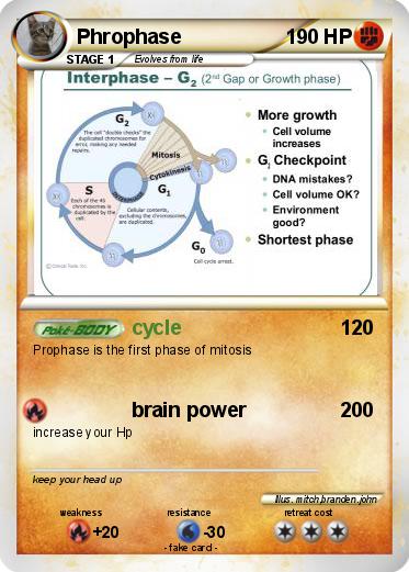 Pokemon Phrophase
