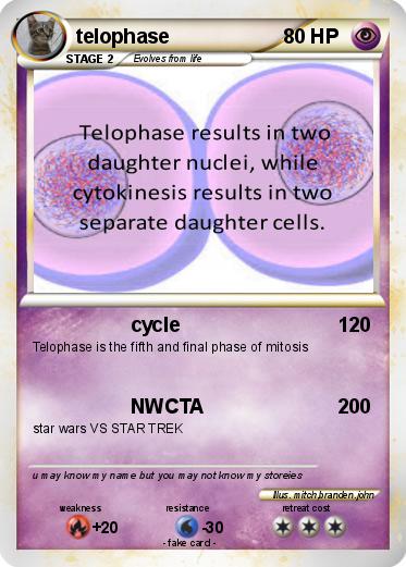 Pokemon telophase