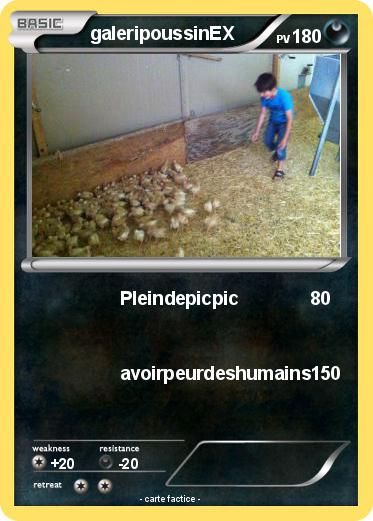 Pokemon galeripoussinEX