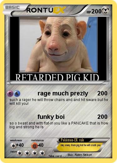 Pokemon RONTU
