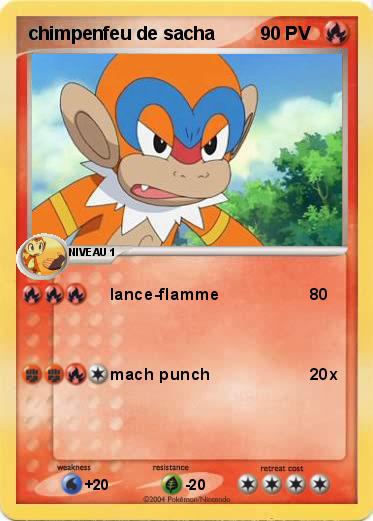 Pokemon chimpenfeu de sacha 