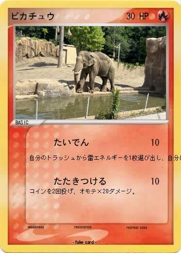 Pokemon ピカチュウ