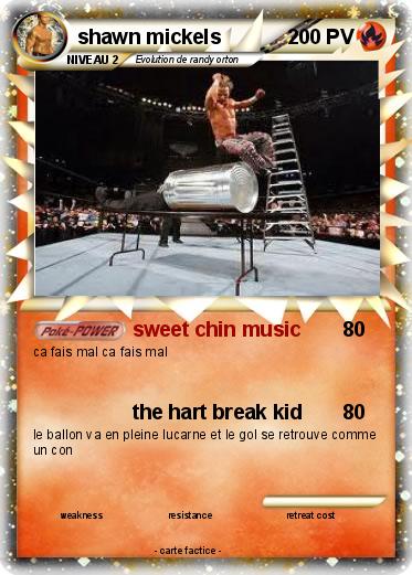 Pokemon shawn mickels