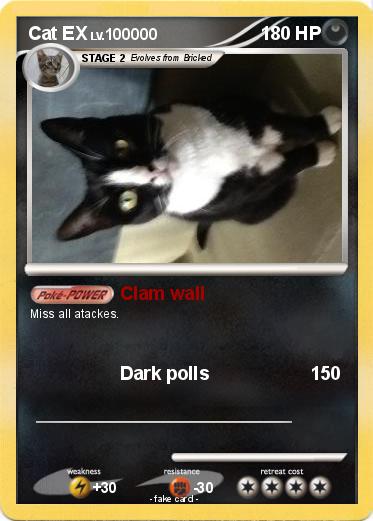 Pokemon Cat EX