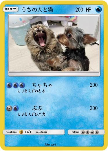 Pokemon うちの犬と猫