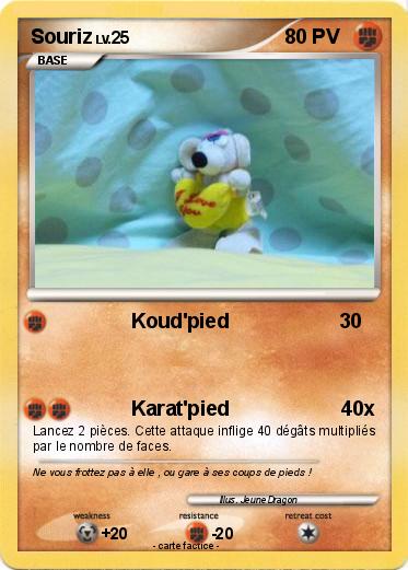 Pokemon Souriz