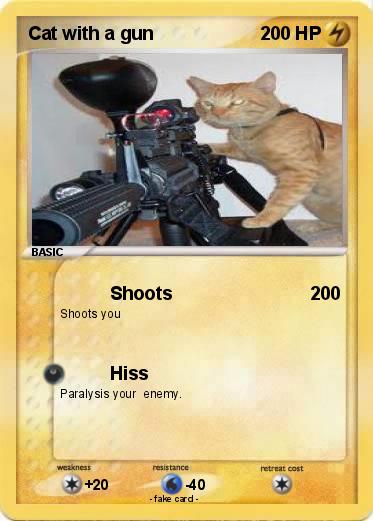 Pokemon Cat with a gun