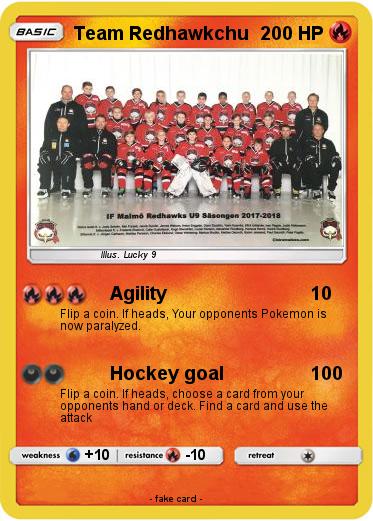 Pokemon Team Redhawkchu