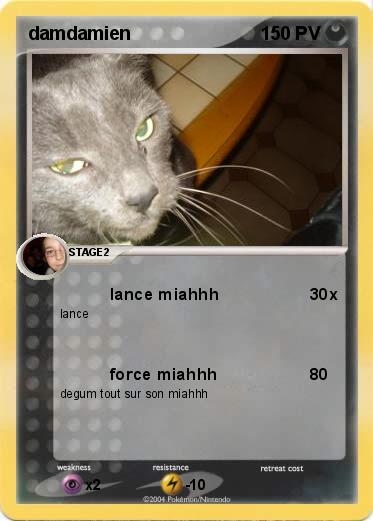 Pokemon damdamien
