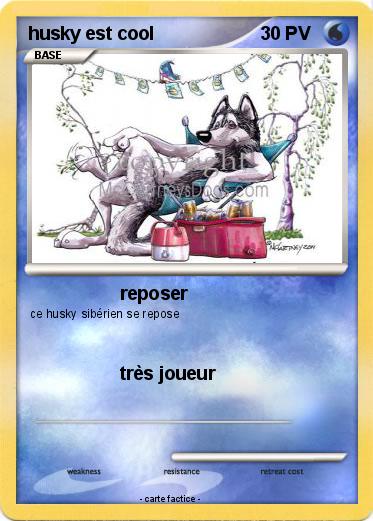 Pokemon husky est cool