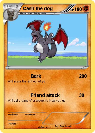 Pokemon Cash the dog