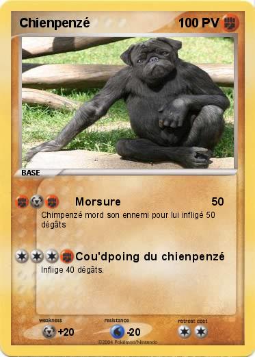 Pokemon Chienpenzé