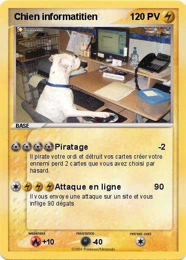 Pokemon Chien informatitien