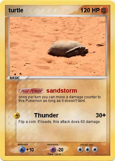 Pokemon turtle
