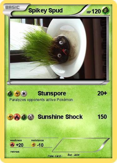Pokemon Spikey Spud