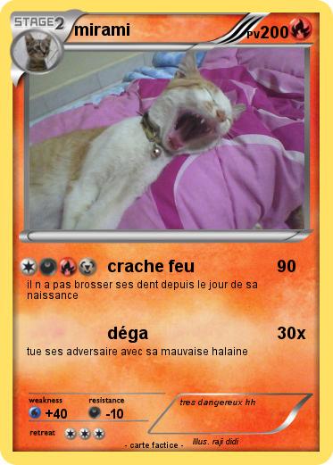 Pokemon mirami