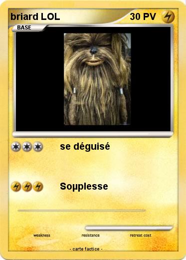 Pokemon briard LOL
