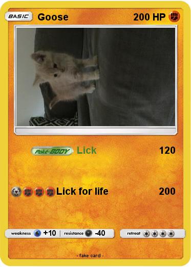 Pokemon Goose