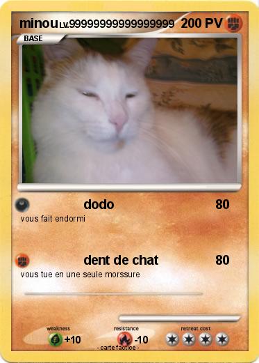 Pokemon minou