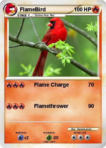 Pokemon FlameBird