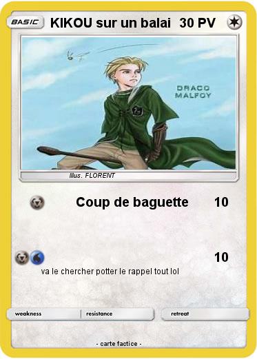 Pokemon KIKOU sur un balai