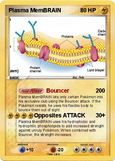 Pokemon Plasma MemBRAIN