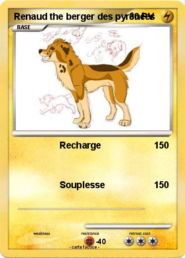 Pokemon Renaud the berger des pyrénées