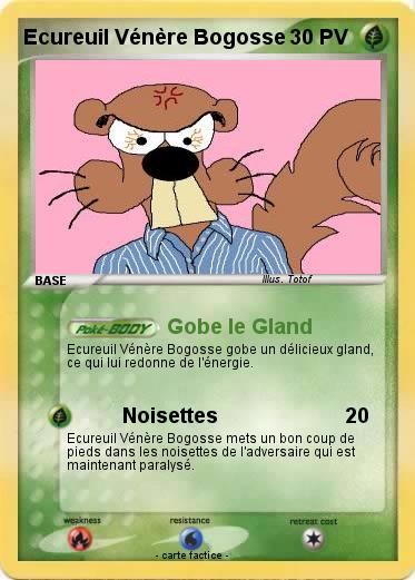 Pokemon Ecureuil Vénère Bogosse