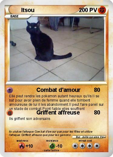 Pokemon Itsou