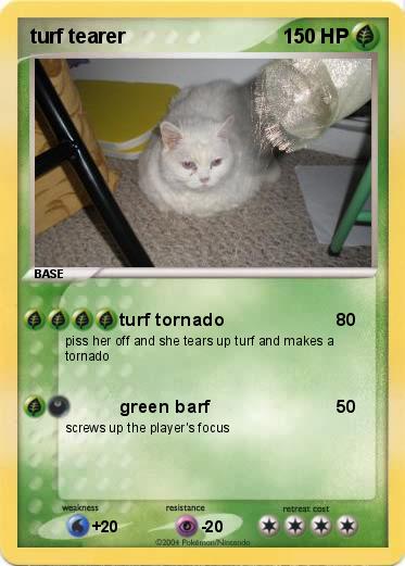 Pokemon turf tearer
