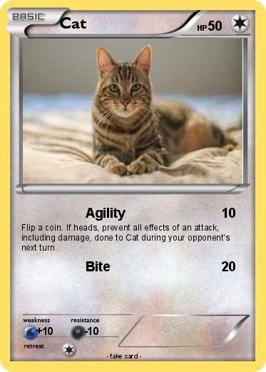Pokemon Cat