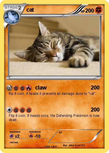 Pokemon cat