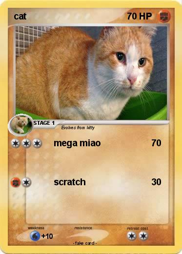 Pokemon cat
