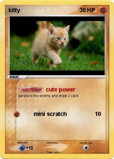 Pokemon kitty
