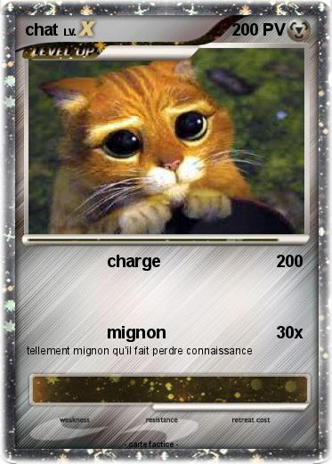 Pokemon chat